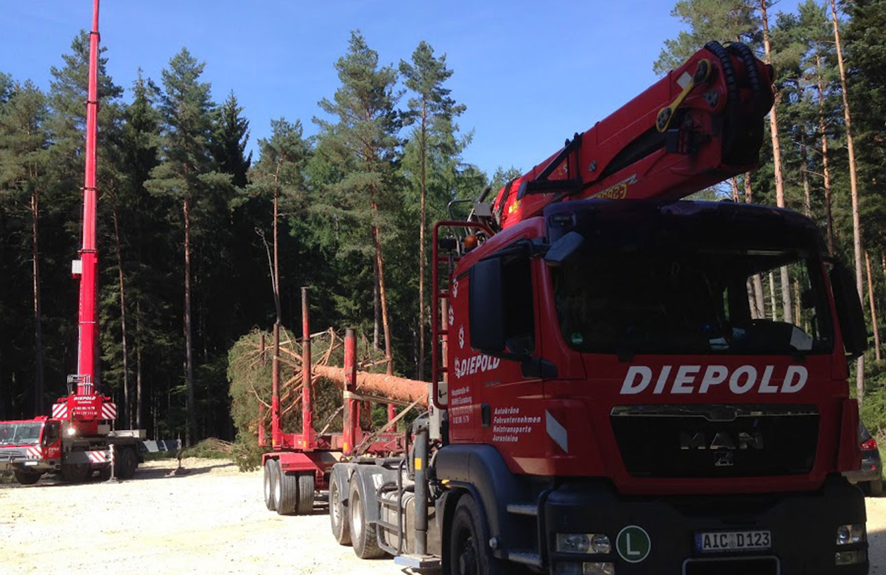 Schwertransport von Holz