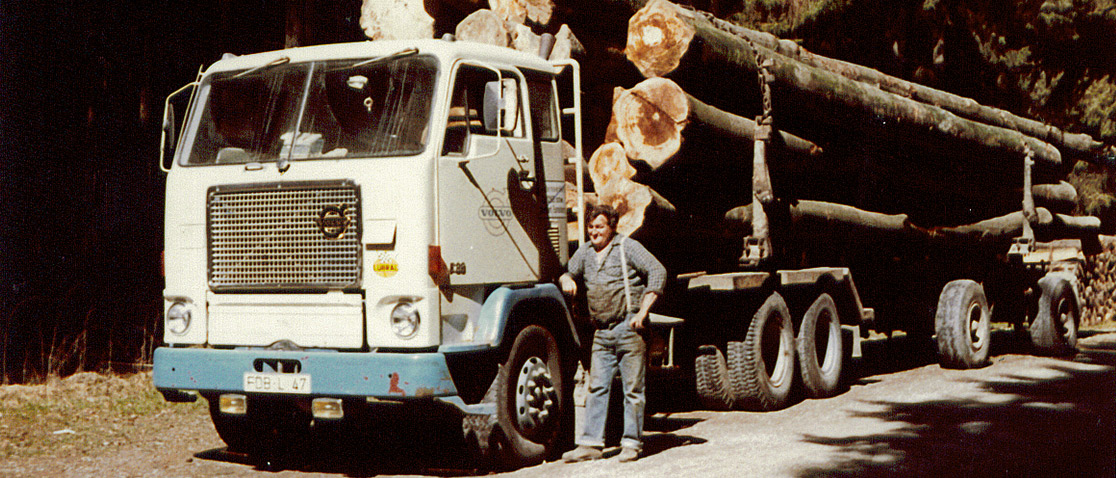 LKW mit Holzlast - Foto aus dem Archiv